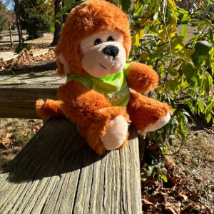 Stuffed Animal