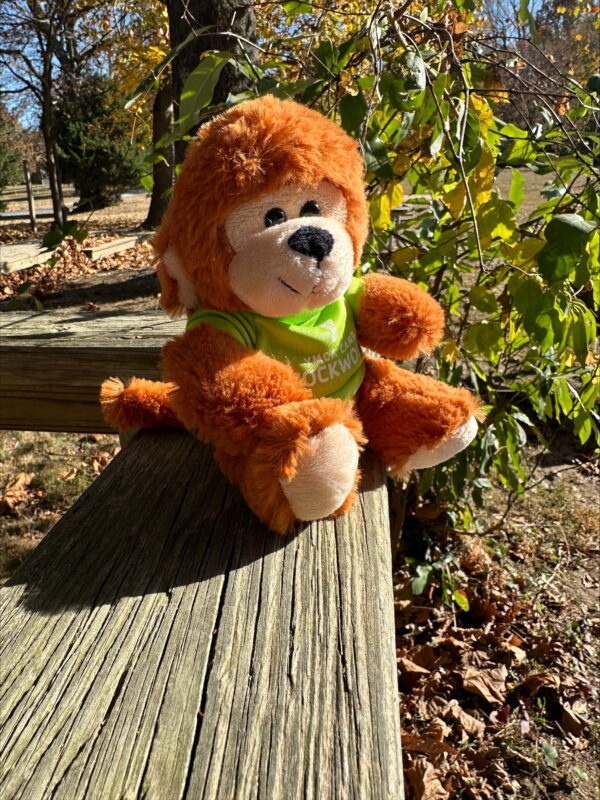 Stuffed Animal